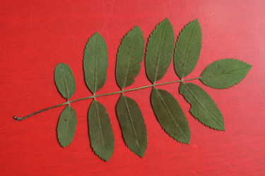 Similar image 568212