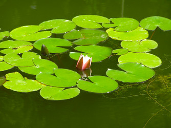 Similar image 568350