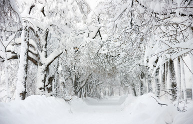 Similar image 568377