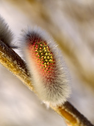 Similar image 568384