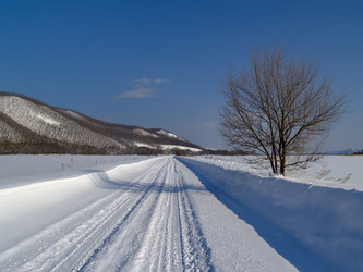 Similar image 568390