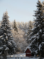 Similar image 568410