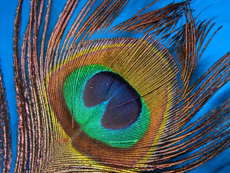 Similar image 568447