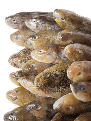 Similar image 568480