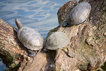 Similar image 568488