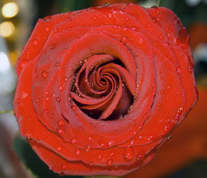 Similar image 568519