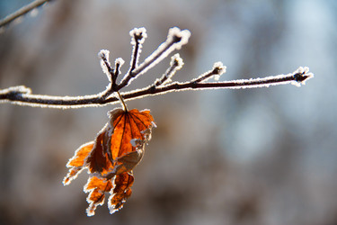 Similar image 568547