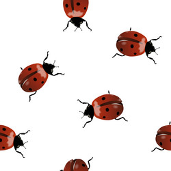 Similar image 568577