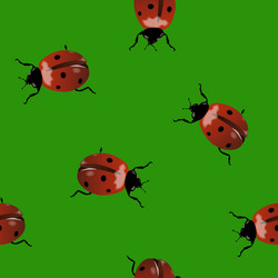 Similar image 568581