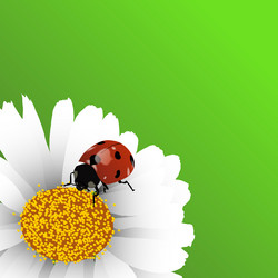 Similar image 568588