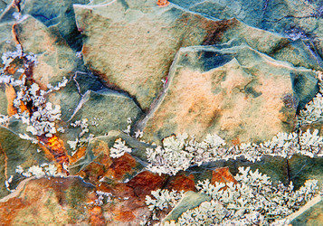 Similar image 568605