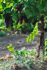 Similar image 568999