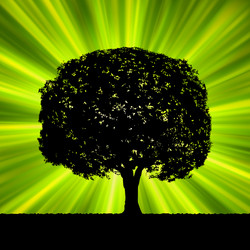 Similar image 569052