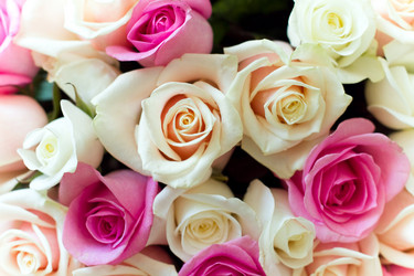 Similar image 569126