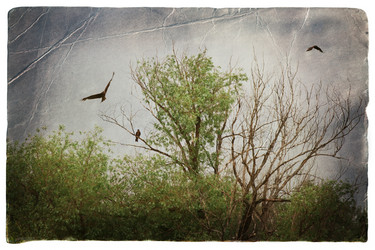 Similar image 569281