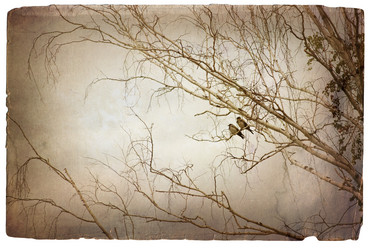 Similar image 569290