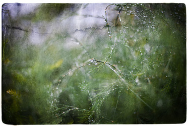 Similar image 569293