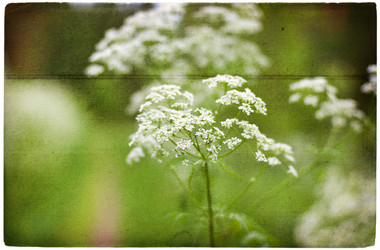 Similar image 569298