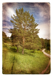 Similar image 569309