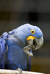 Similar image 569373