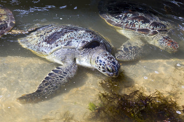 Similar image 569428