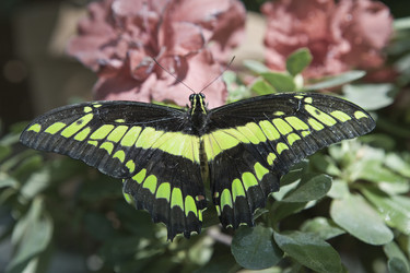 Similar image 569469