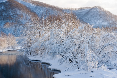 Similar image 569758