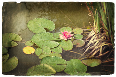 Similar image 569912