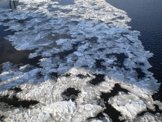 Similar image 569921