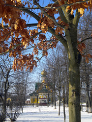 Similar image 569958