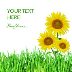 Similar image 570098