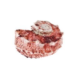 Similar image 570116