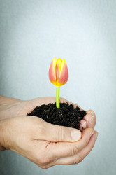 Similar image 570403