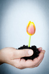 Similar image 570406