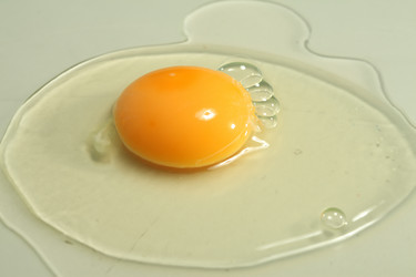 Similar image 570431