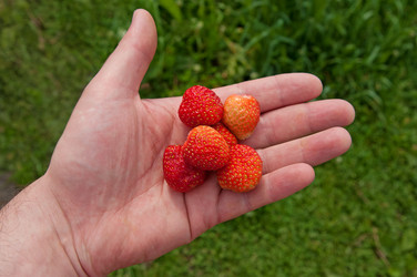 Similar image 570449