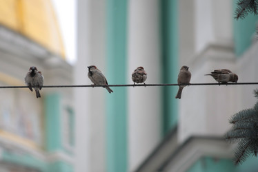 Similar image 570452