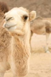 Similar image 570513