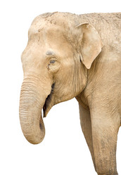 Similar image 570581