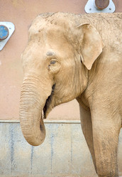 Similar image 570583