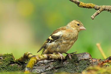 Similar image 570632