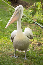 Similar image 570633