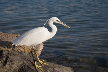 Similar image 570644