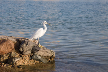 Similar image 570646