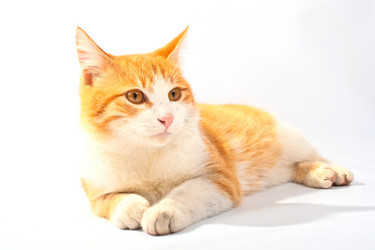 Similar image 570651