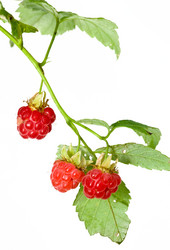 Similar image 570673