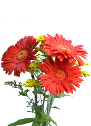 Similar image 570676