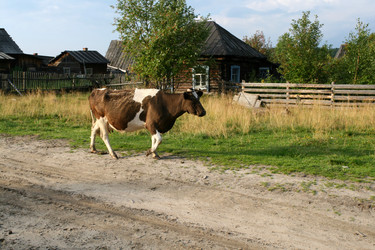 Similar image 570686