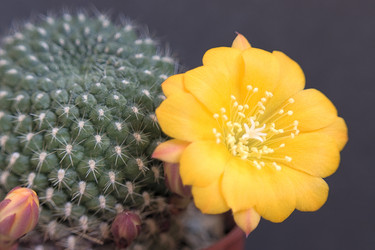 Similar image 570699