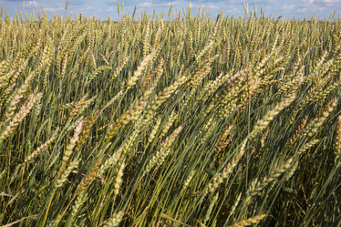 Similar image 570709